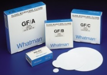 PAPEL MICROFIBRA VIDRIO GF/ C 24MM CON 100