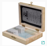 PREPARACIONES CUERPO HUMANO 2DA PARTE