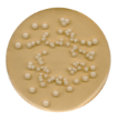 AGAR DEXTROSA Y PAPA 500G