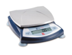BALANZA ELECTRONICA 600X0.1G