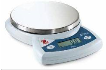 BASCULA ELECTRONICA 1100X0.1G